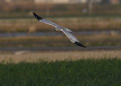 _190301_165732 DSC_3396