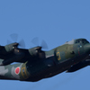C-130❶