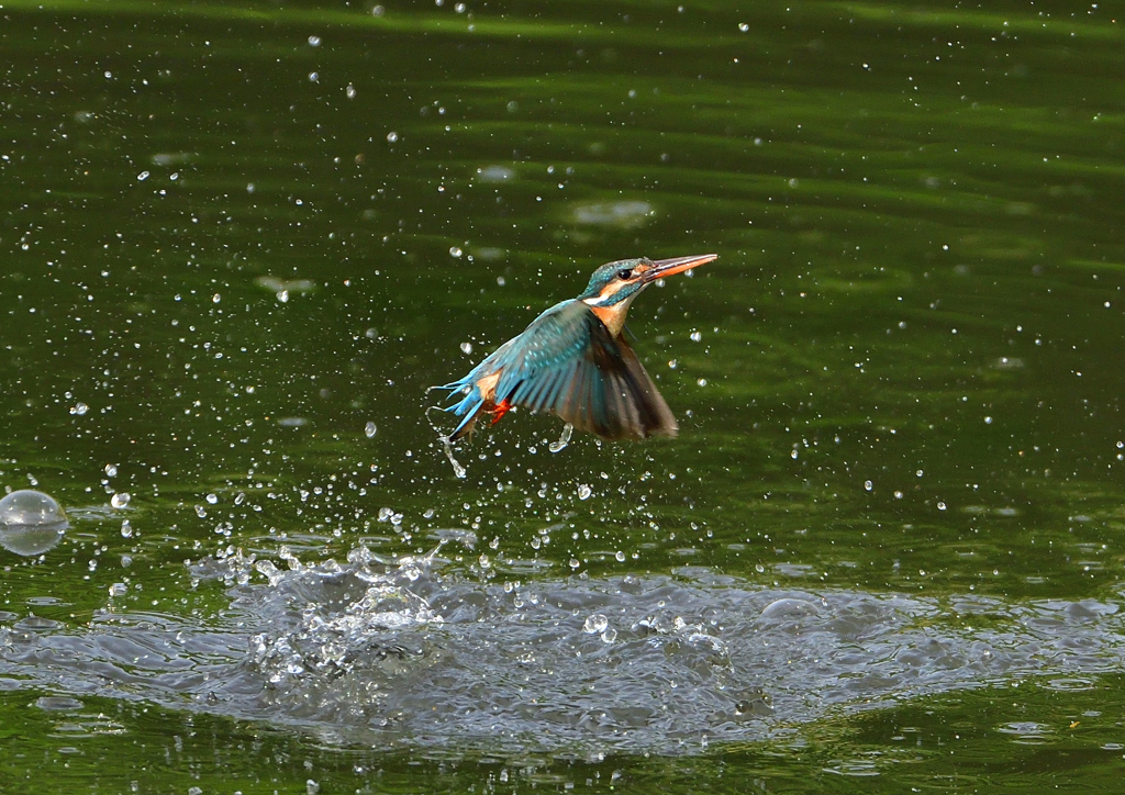 水飛沫　５/１３❷