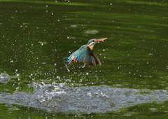 水飛沫　５/１３❷