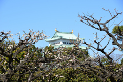 早春❷