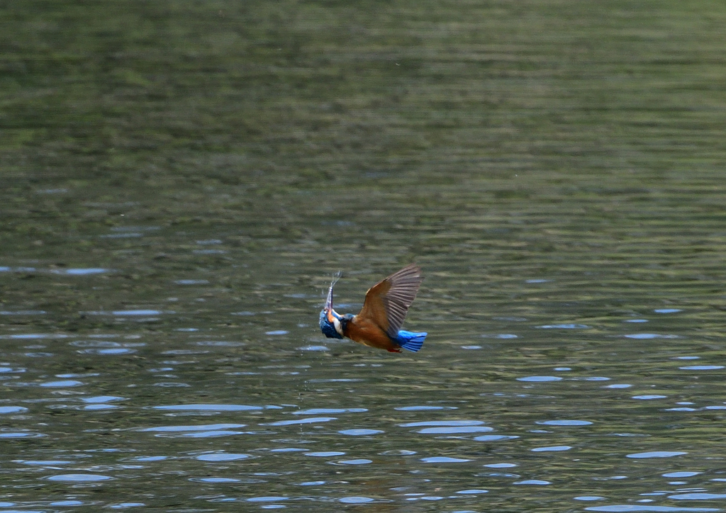 えっ・・・・・❷