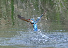 ダイブ　４/２２❶