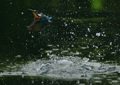 いつもの公園で　９/８❺