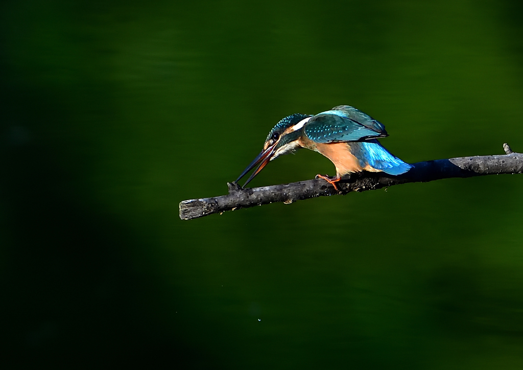 いつもの公園で　８/１７①