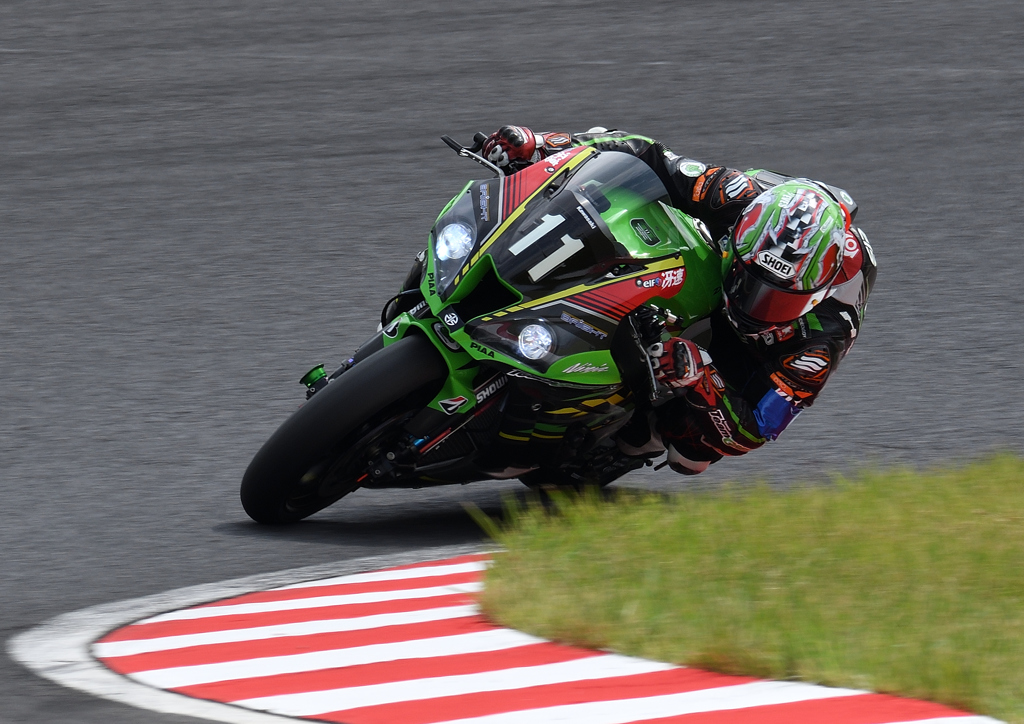  Kawasaki Team GREEN