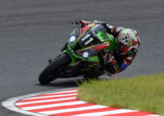  Kawasaki Team GREEN