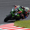  Kawasaki Team GREEN