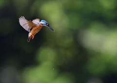 ホバリング　６/６❶