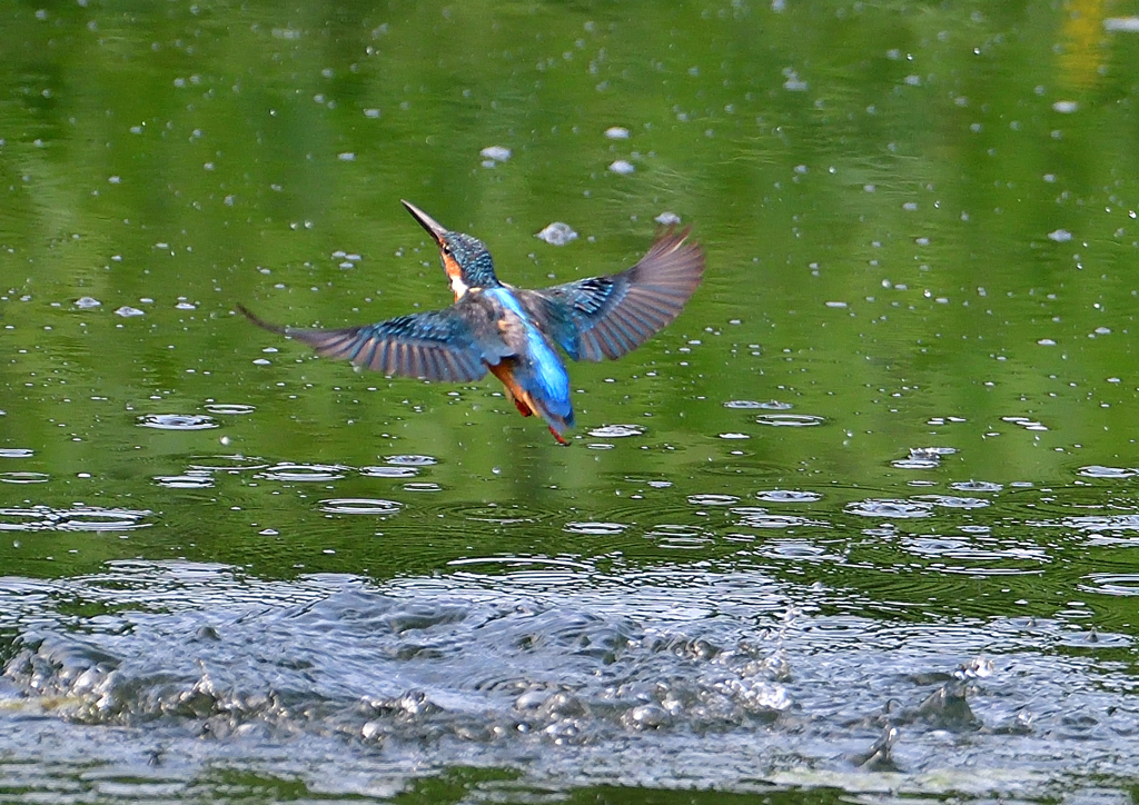 いつもの公園で　８/２１❻
