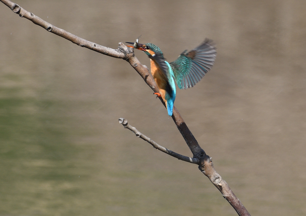 _190226_102310 DSC_2476