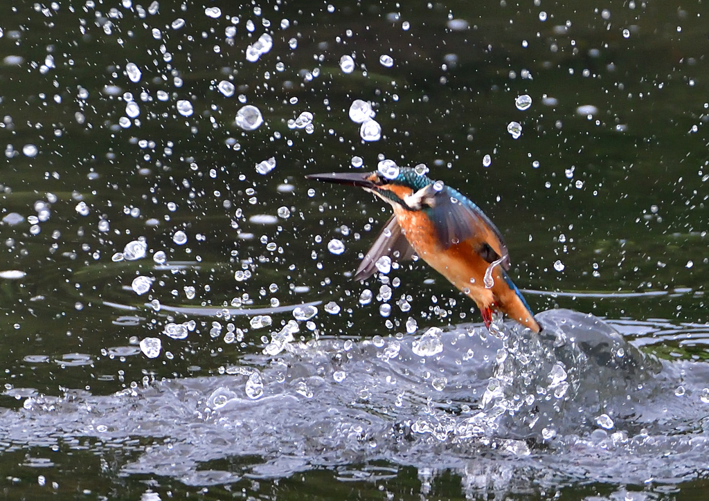 水飛沫　７/２８①