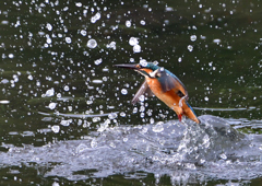 水飛沫　７/２８①
