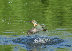 _191009_080447 DSC_9038