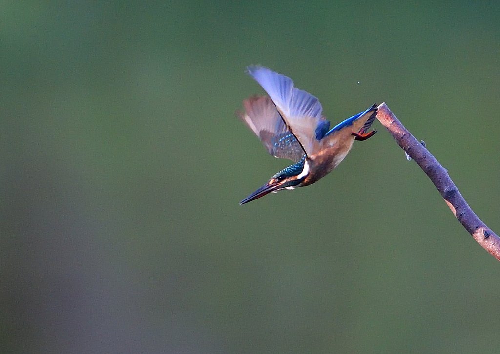 いつもの公園で　８/１６❺