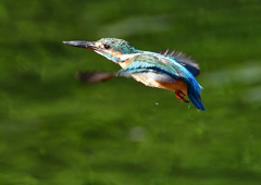 いつもの公園で　９/１４❹