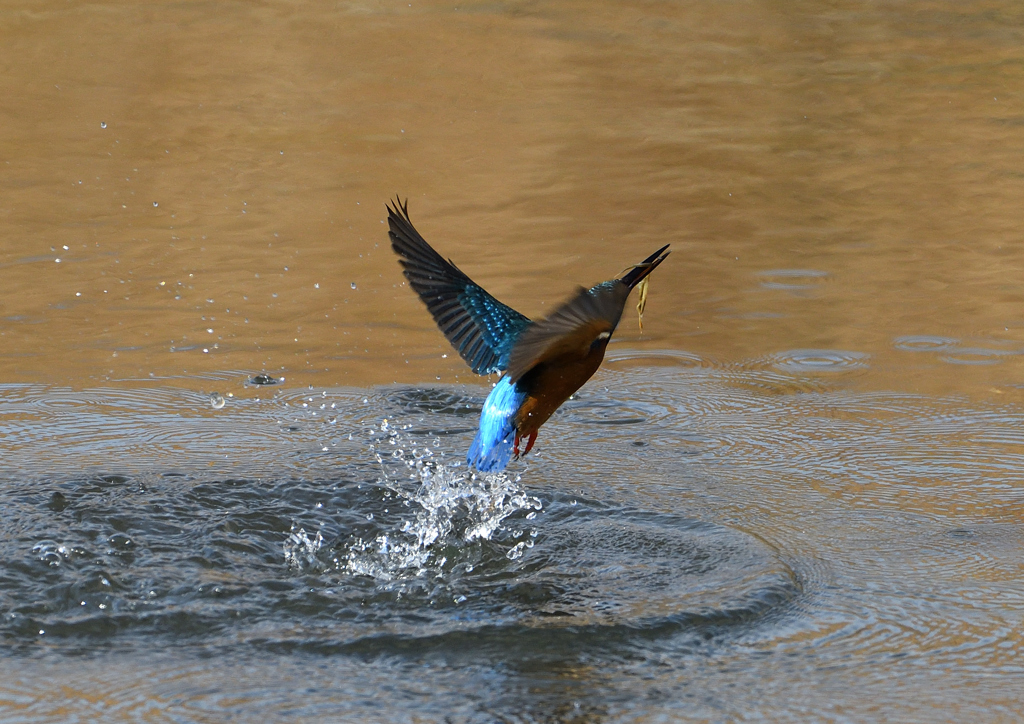 _190125_092953 DSC_6293