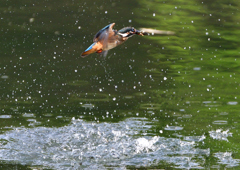 いつもの公園で　１０/６❹