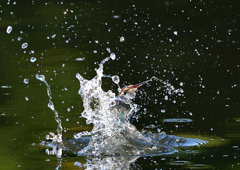 いつもの公園で　８/１７⑤