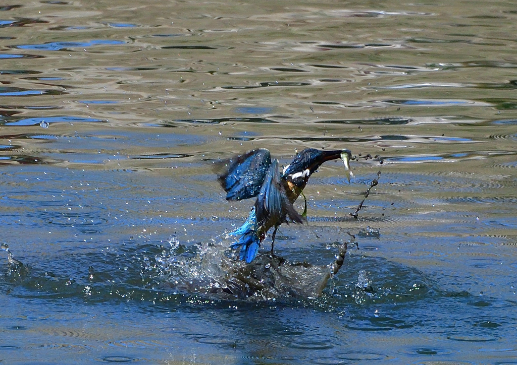 いつもの公園　５/２８❸