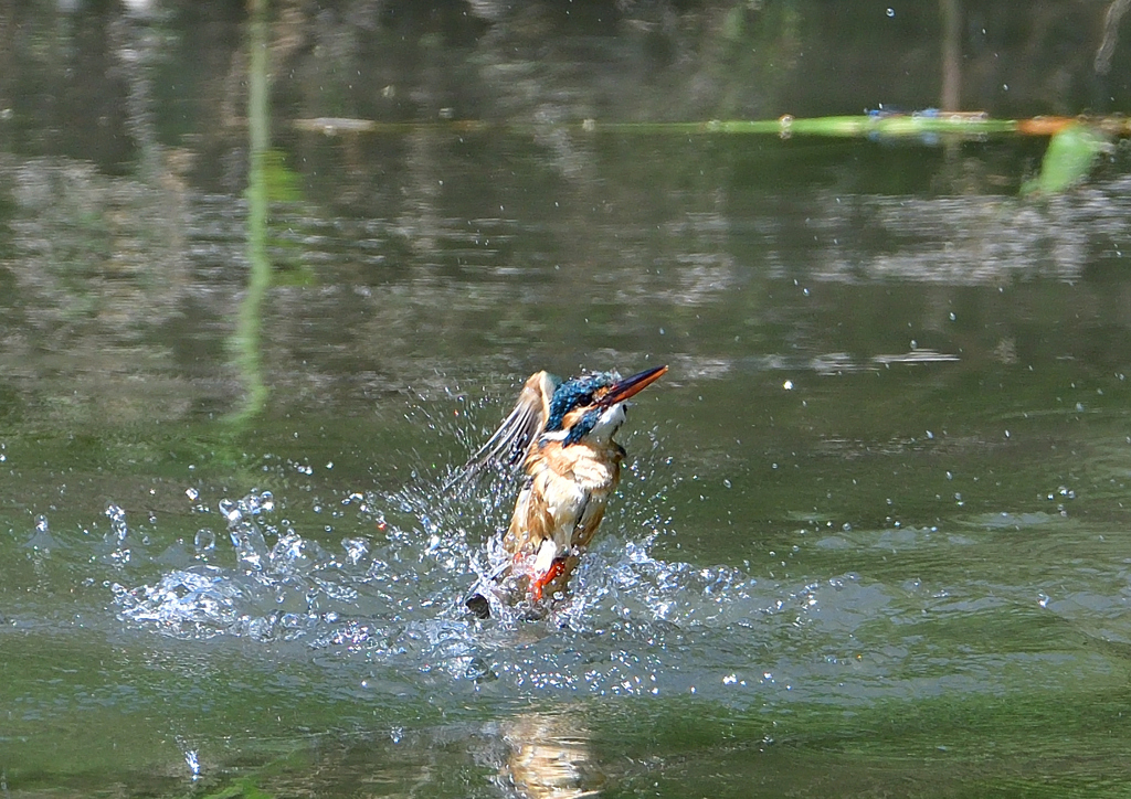 水飛沫　５/１７❾
