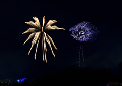 岡崎花火大会❺