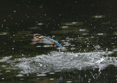 ダイブ　６/２❷