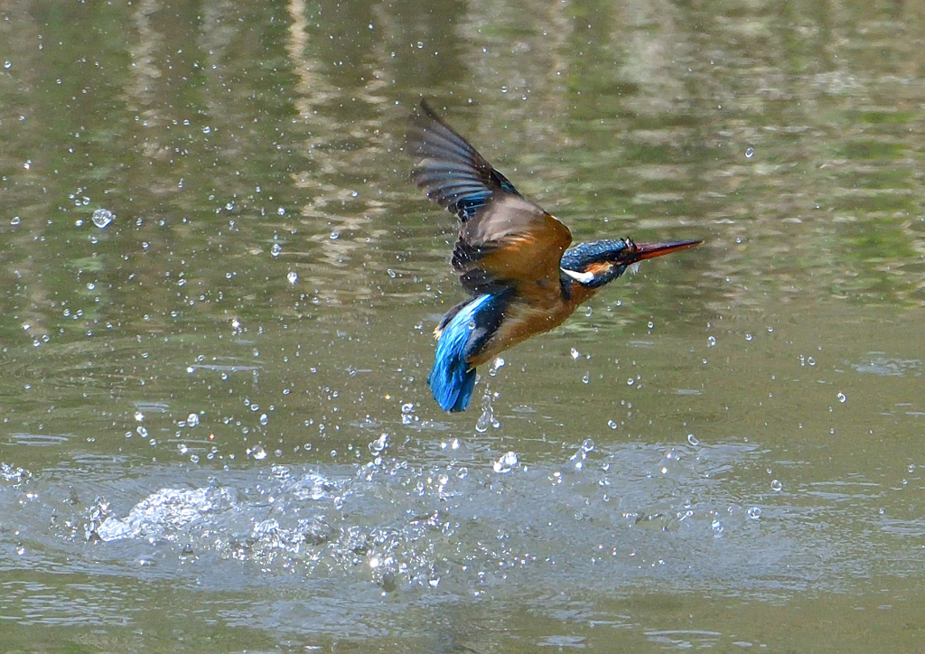 水飛沫　４/２７❹