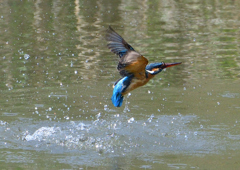 水飛沫　４/２７❹