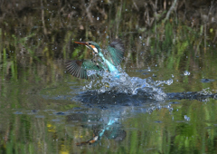 ダイブ　５/６❶