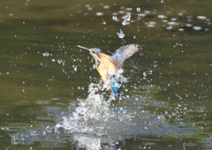 _190906_082811 DSC_9473