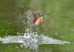 水飛沫　５/９❶