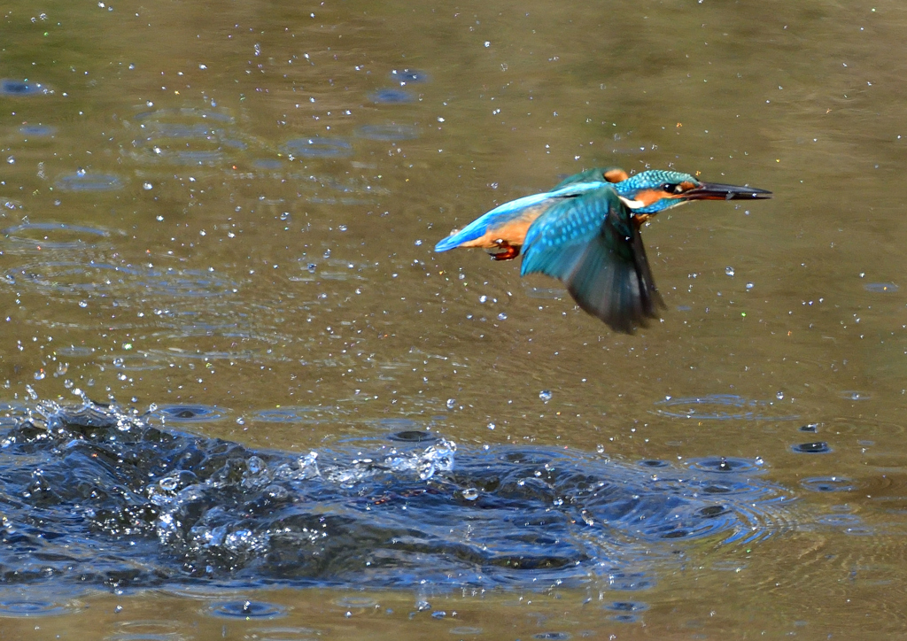 いつもの公園で　１０/３１❷