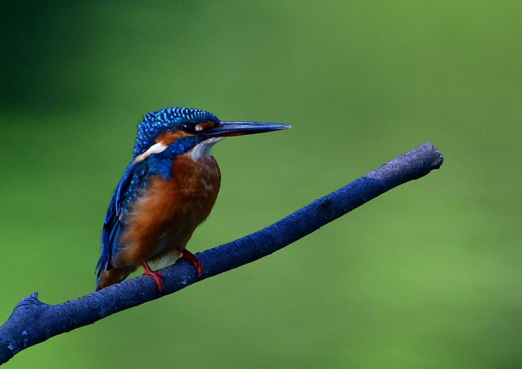 いつもの公園で　９/１４❶