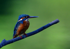 いつもの公園で　９/１４❶