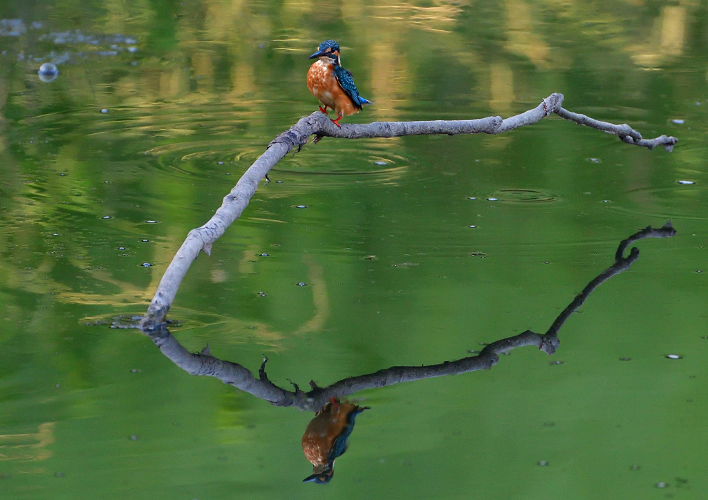 いつもの公園で　８/１８❶