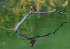 いつもの公園で　８/１８❶