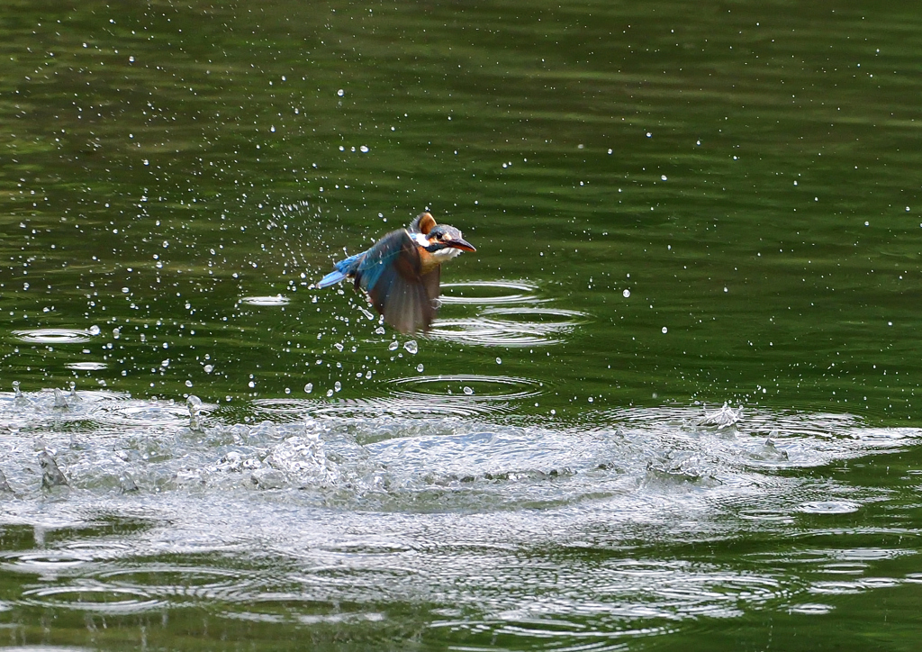 ダイブ　５/２３❻