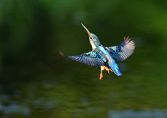 いつもの公園で　８/３１❸