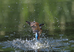 水飛沫　９/１０❶