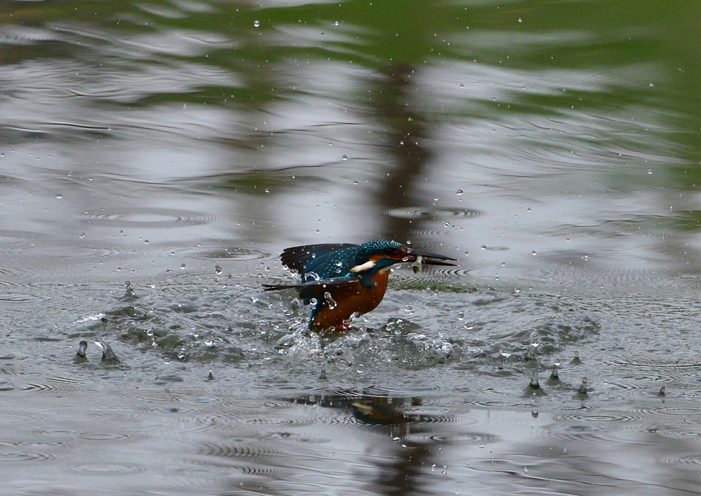 水飛沫　４/１❷