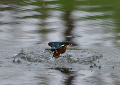 水飛沫　４/１❷