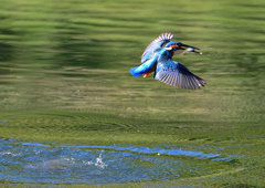いつもの公園で　１０/１１❹