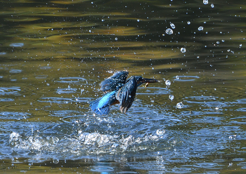水飛沫　９/２４❶