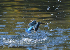 水飛沫　９/２４❶