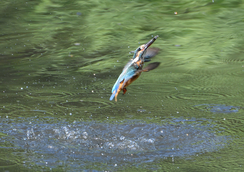 _190906_074017 DSC_9102