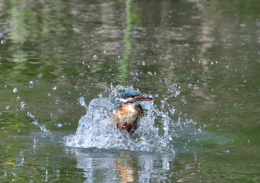 水飛沫　５/１７❻