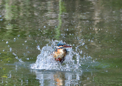 水飛沫　５/１７❻