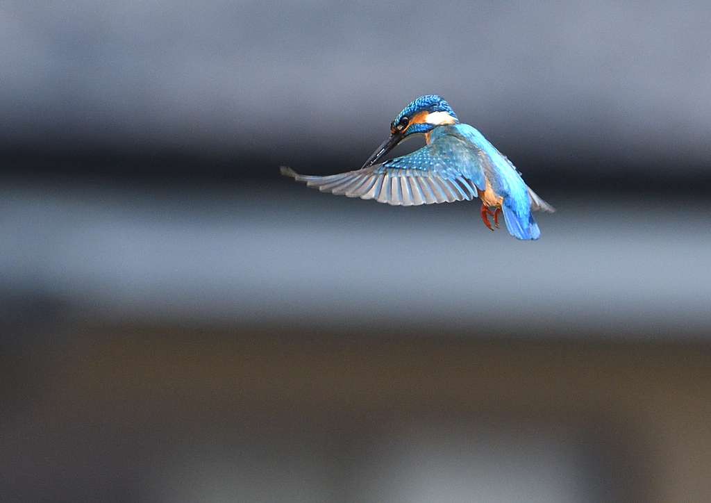 ホバリング　５/６❶