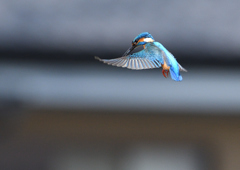 ホバリング　５/６❶